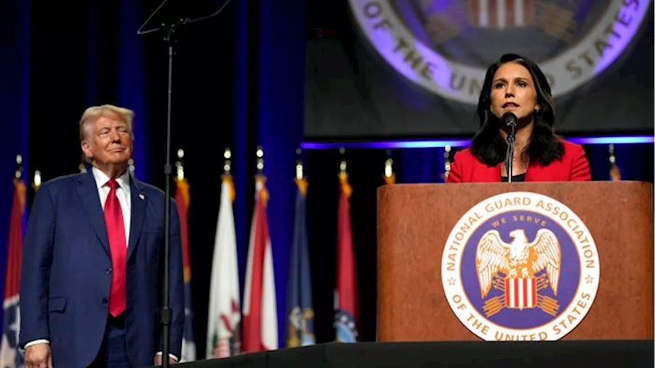 Gabbard stöder Trump i USA-valet