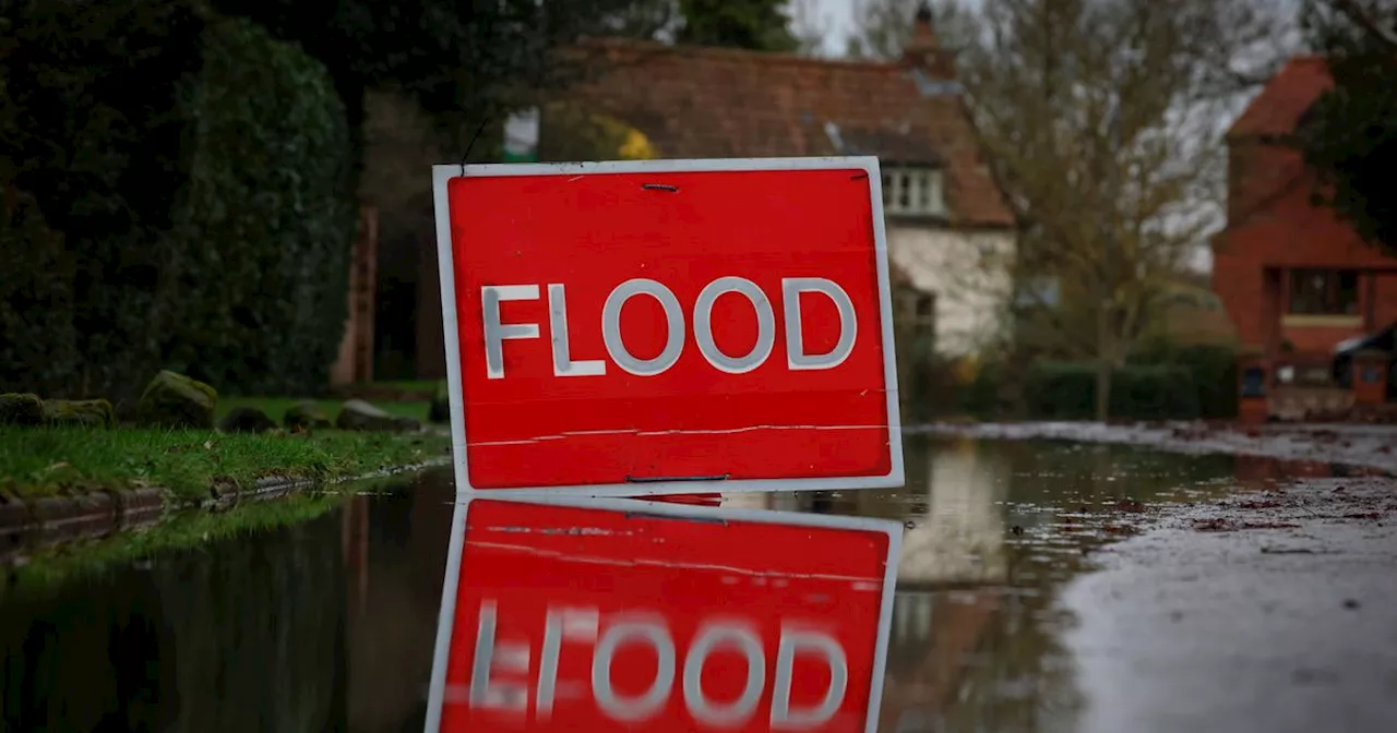 Clean up operation underway after Ayr homes hit by flash flooding