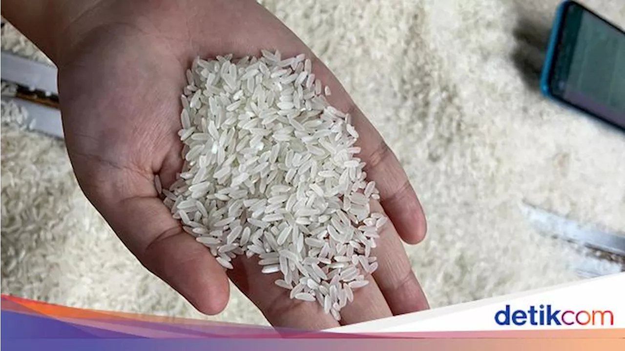 Harga Beras Medium Disebut Tembus Rp 14.600/Kg, Bulog & Bapanas Buka Suara