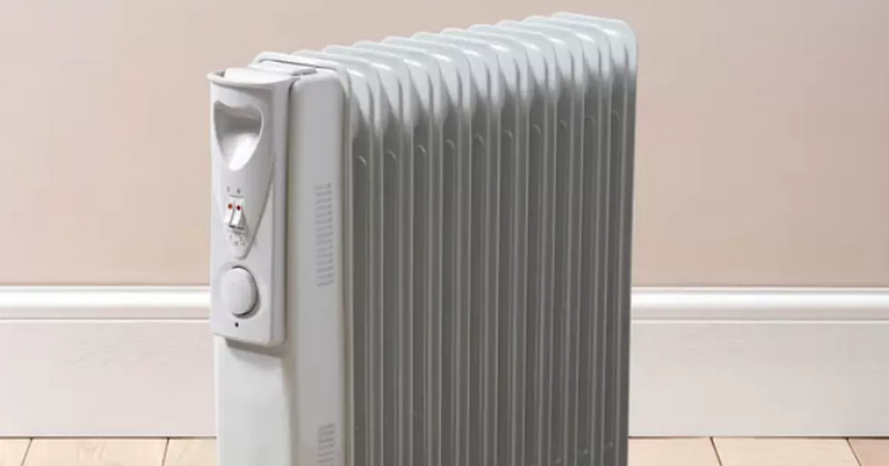 Dunelm shoppers praise 'low cost' energy efficient heater