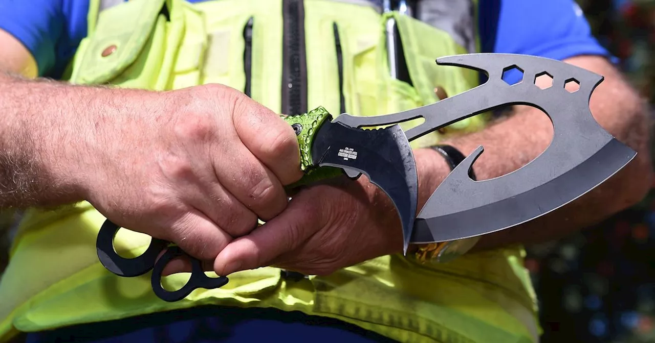 Zombie knife owners warned to hand in weapons ahead of ban