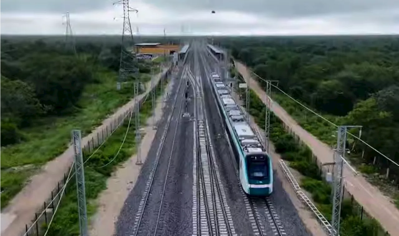 Tren Maya, un 'horror ambiental'; cadena de TV alemana critica impacto ambiental con video reportaje