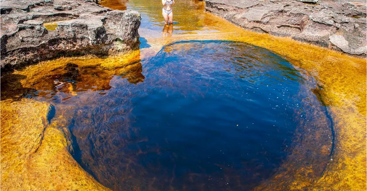 Ríos de Guaviare, un espectáculo de colores vivos