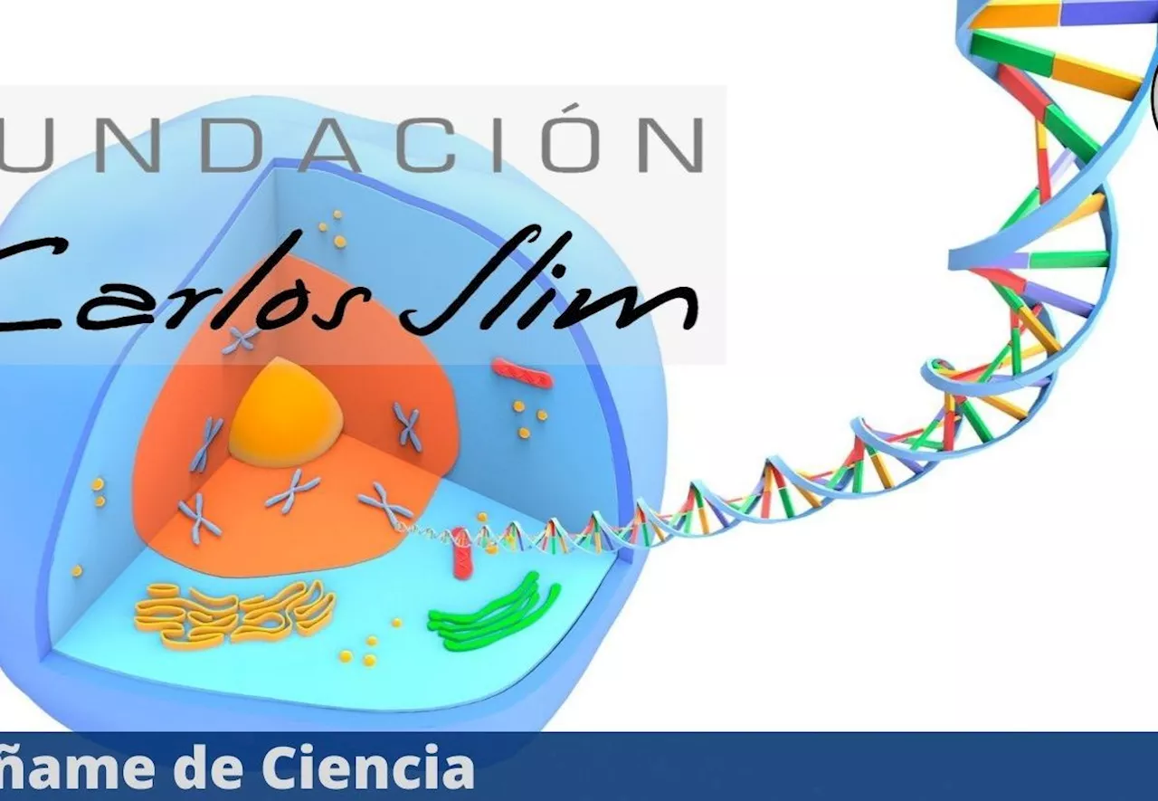 Fundación Carlos Slim lanzó curso virtual de GENÉTICA, ¡100% GRATUITO!