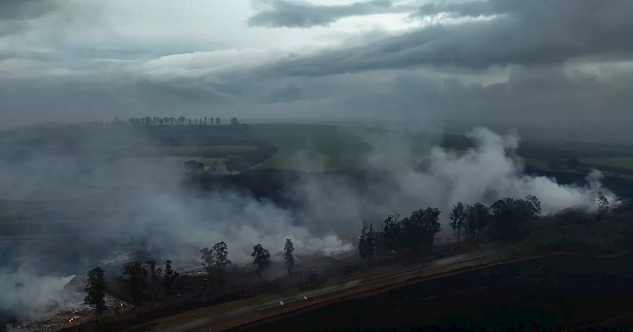 Brazil waging 'war' on wildfires in crowded Sao Paulo state