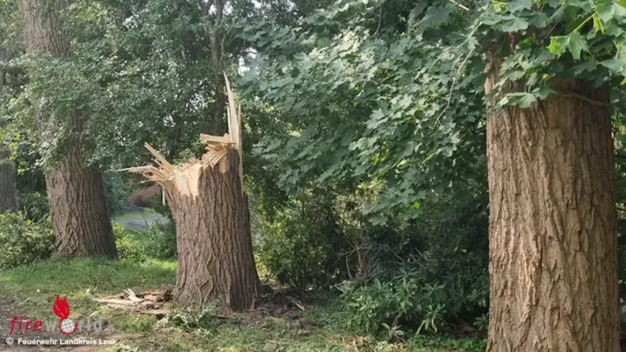 D: Ein kurzes Gewitter, Sturmböen, eine Windhose und jede Menge Arbeit für die Feuerwehr in Leer