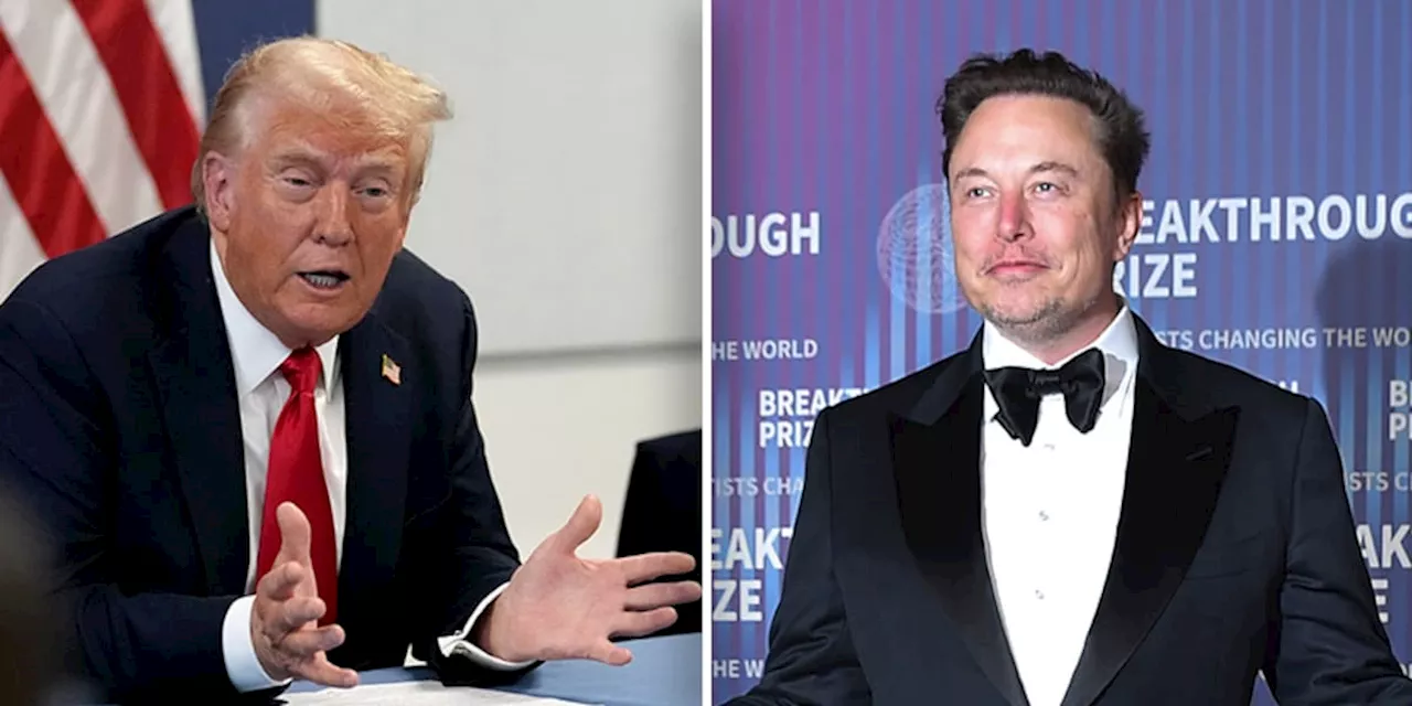 Donald Trump will Elon Musk als Berater nach möglichem Wahlsieg