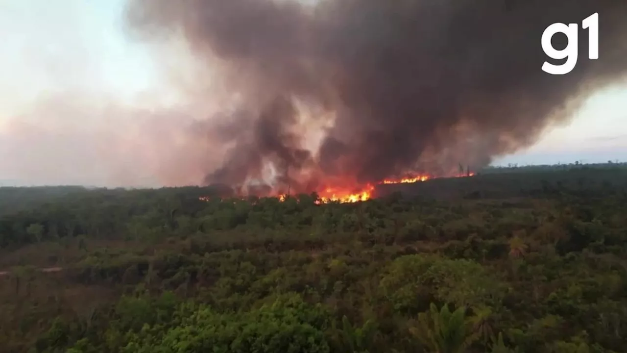 Brigadista que desapareceu enquanto combatia incêndio é encontrado morto carbonizado no Xingu em MT