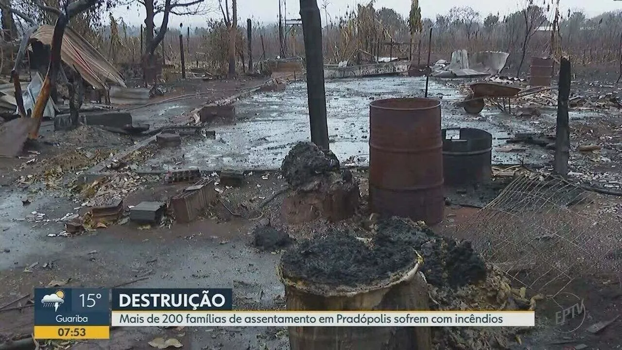 Incêndio destrói casas, plantações e mata mais de 200 animais em assentamento de Pradópolis, SP