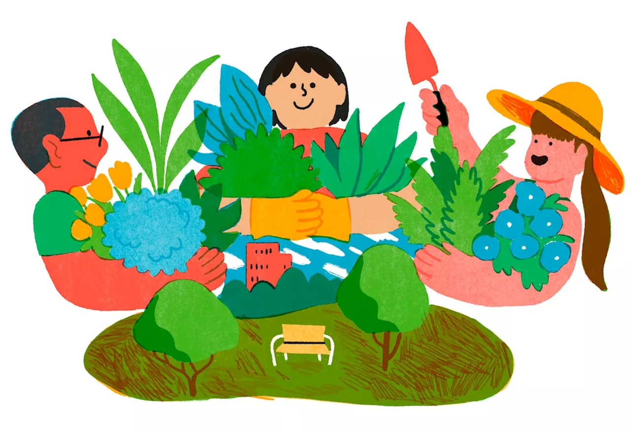 Building a community garden brought my neighbours together