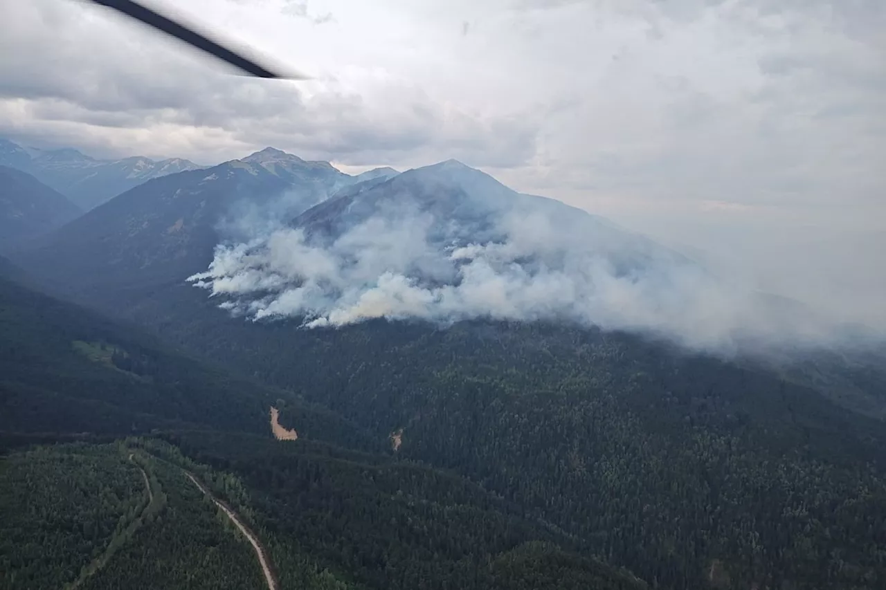 Crews face tree danger from high winds as B.C. wildfires abate due to precipitation