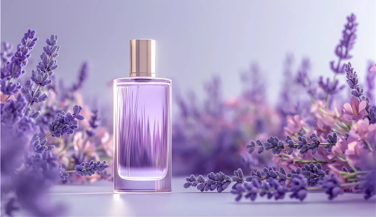 Halten Wespen fern: Diese Lavendel-Parfums sind eine Geheimwaffe