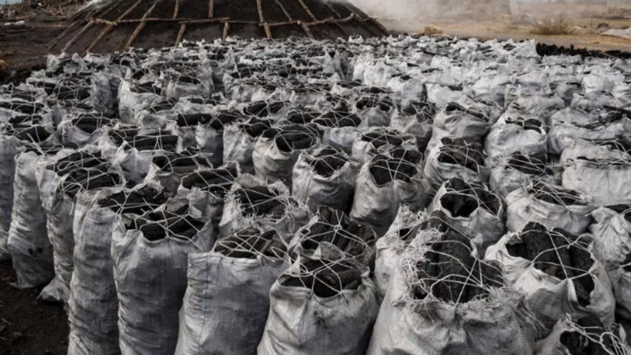 Increased charcoal usage raises pollution, health concerns