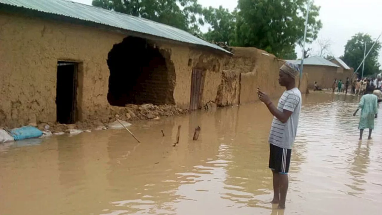 Six dead, thousands displaced as flood ravages Adamawa communities