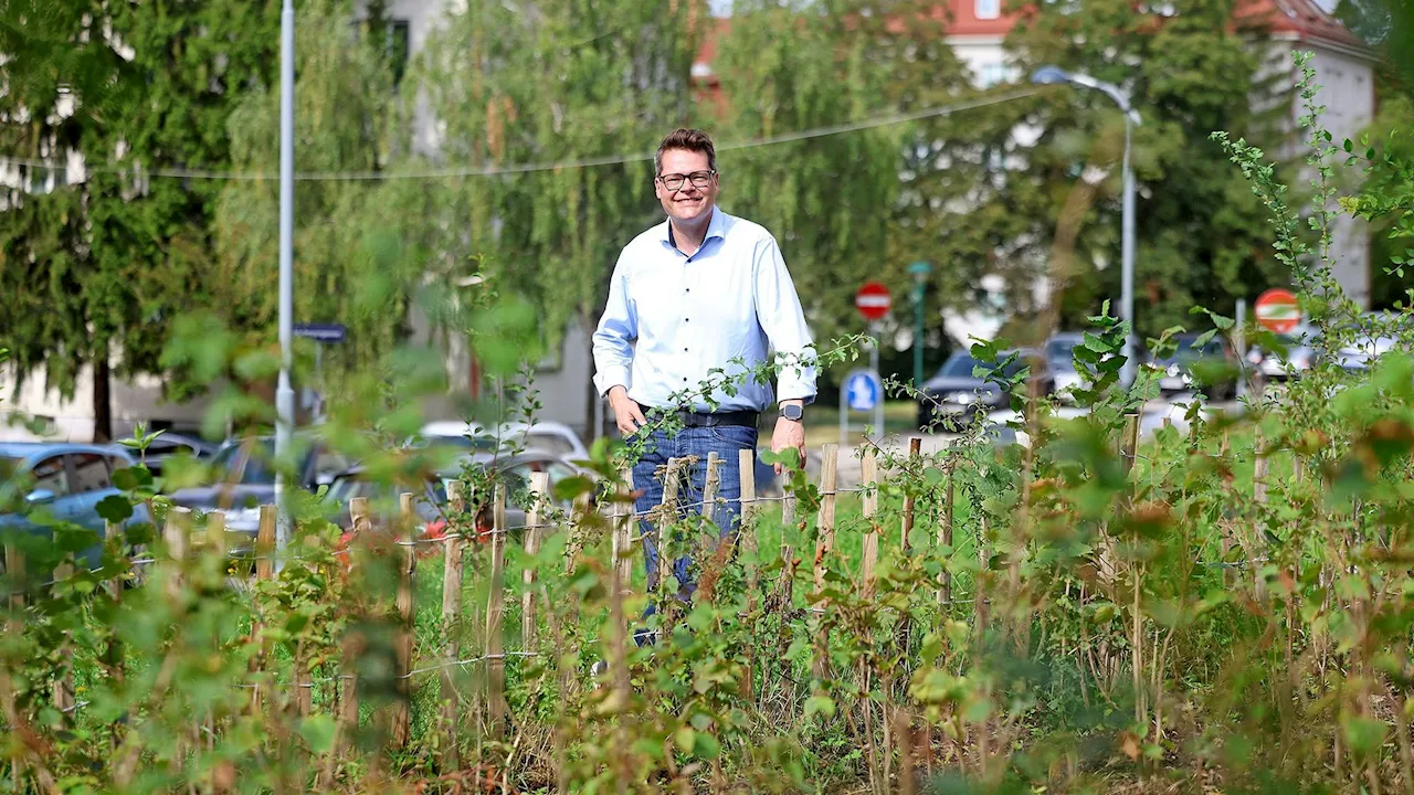 Naturerlebnis vor der Haustür - Kleine Wäldchen als große Stütze für ein cooles Wien