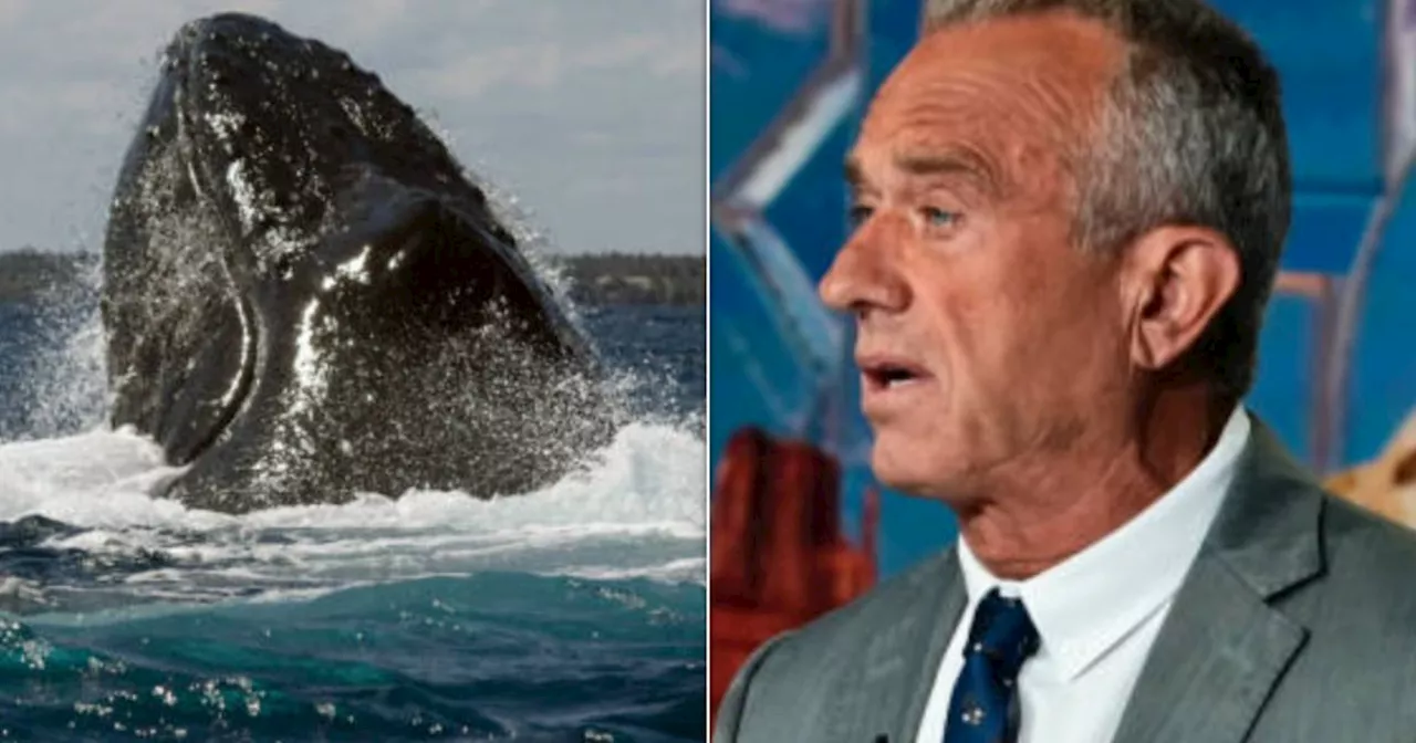 Robert F. Kennedy Jr.’s Daughter Recalls His Disgusting Whale Stunt In Resurfaced Interview