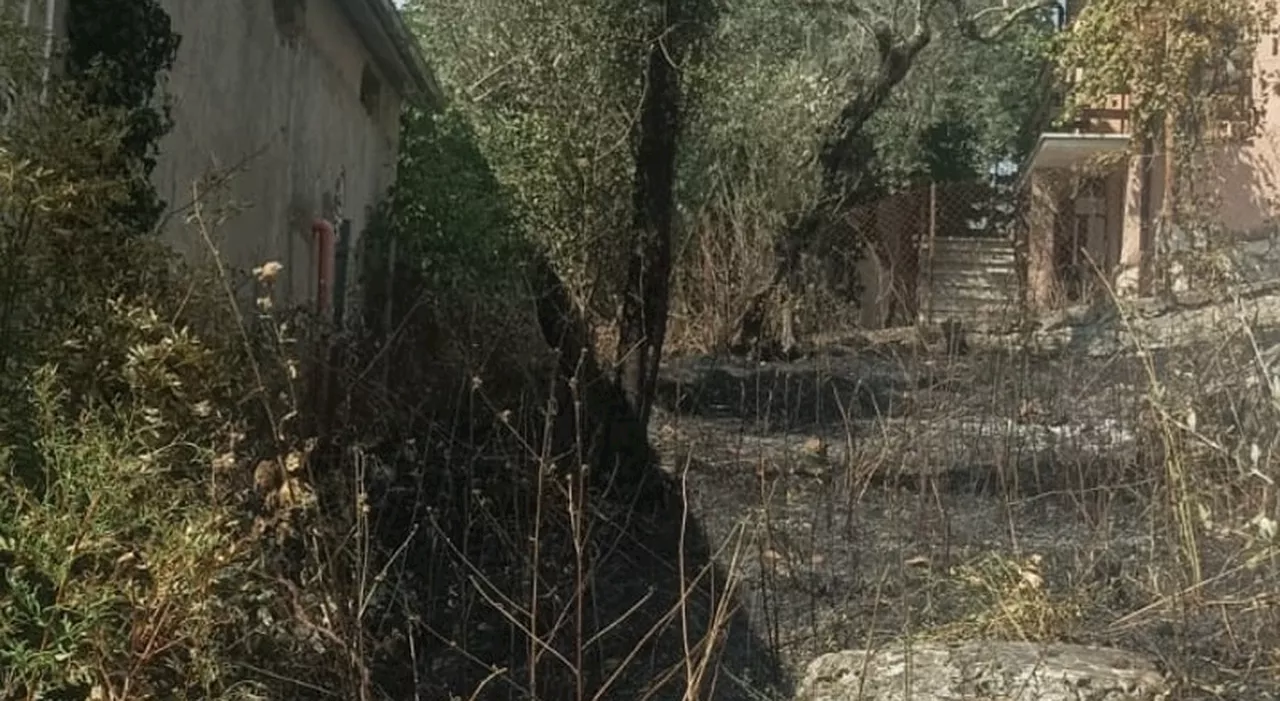 Dà fuoco alle stoppie sul suo terreno, l'incendio divampa e distrugge 50 ettari: denunciato