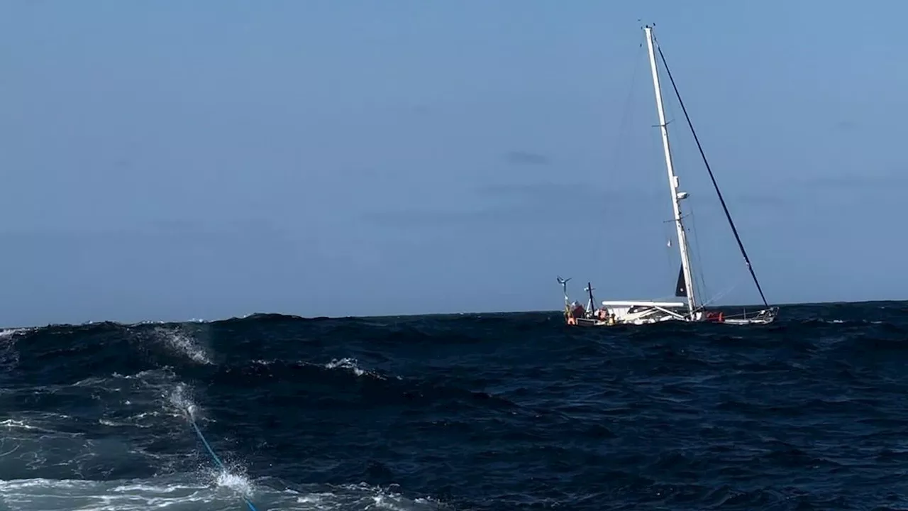 Rescatados en A Coruña los tripulantes de un velero sorprendidos por unas orcas