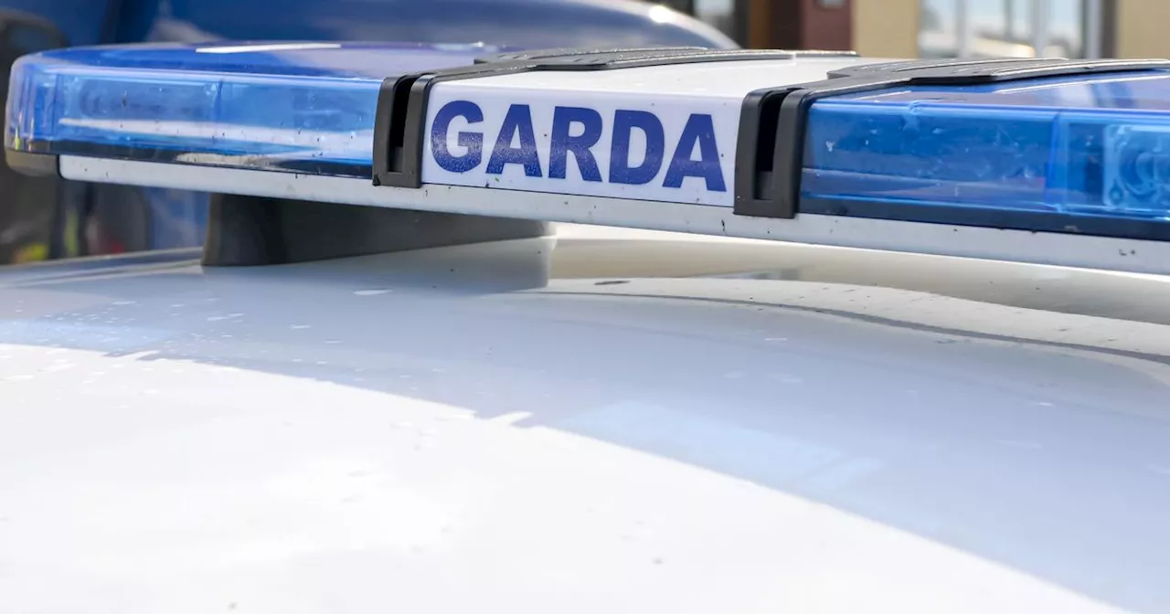 Gardai warn of 'fake news' over Dublin child abduction claims