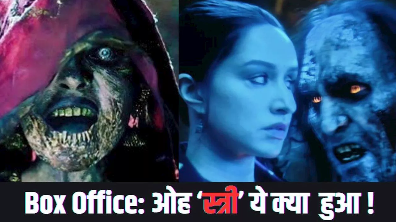 Stree 2 Box Office Day 12: ये क्या हो गया! सोमवार का कलेक्शन जानकर लगेगा 440 वोल्ट का झटका