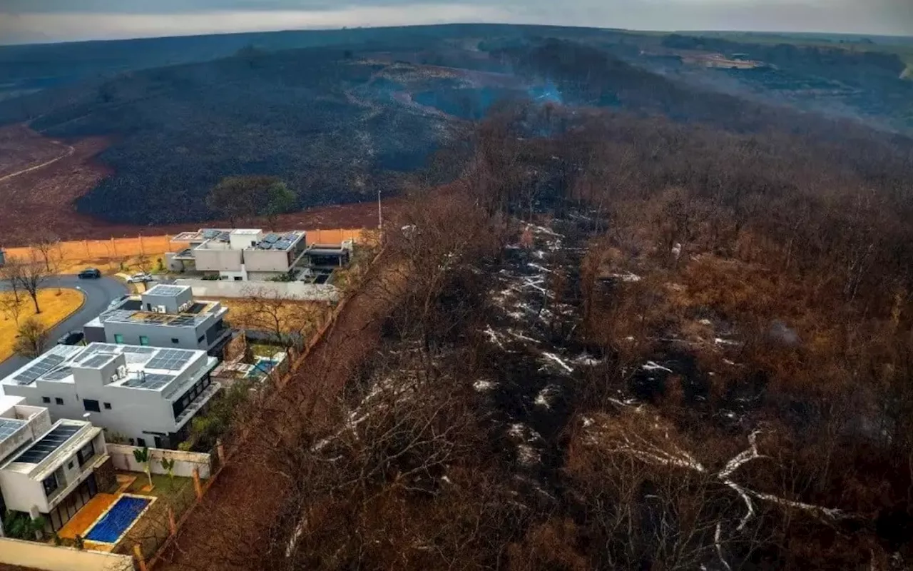 Queimadas em São Paulo: o que se sabe até agora sobre os incêndios