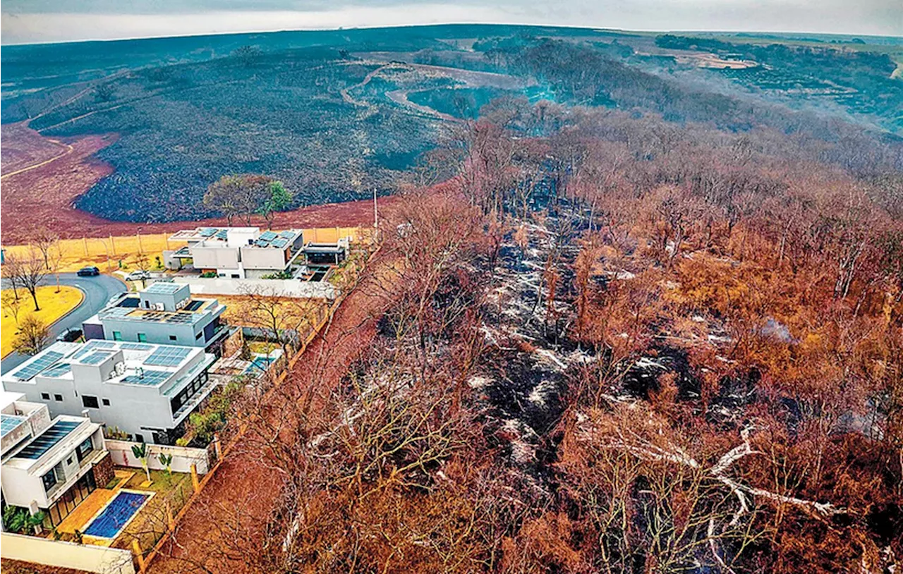 Governo diz que 99,9% dos incêndios em SP são resultado de 'atividade humana'