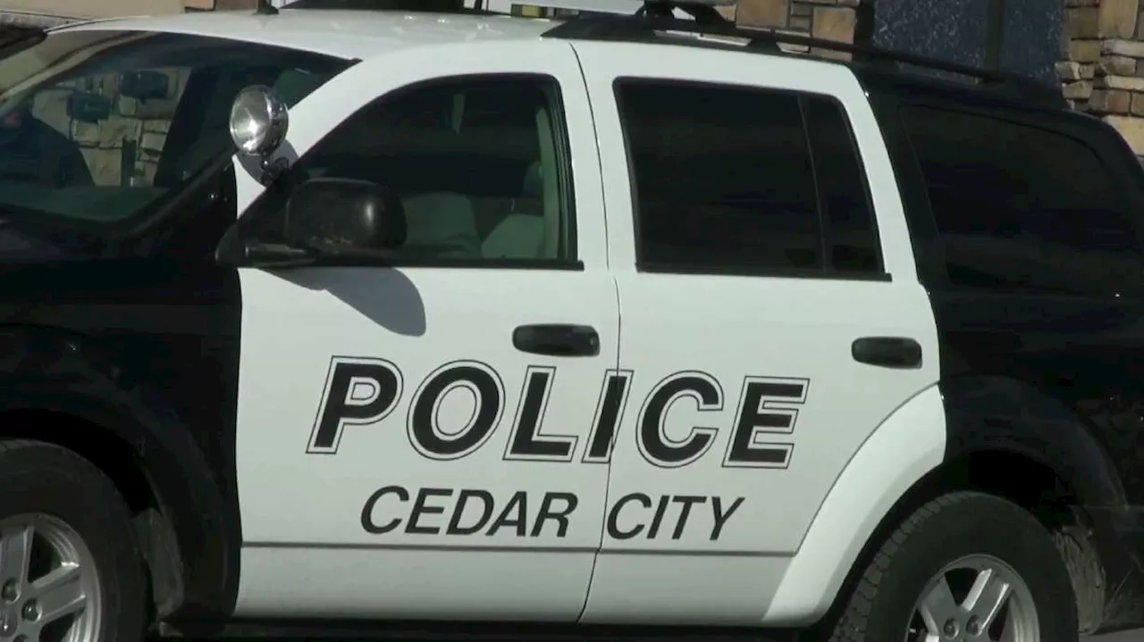 'No breathing room': Cedar City Police make changes as service calls increase