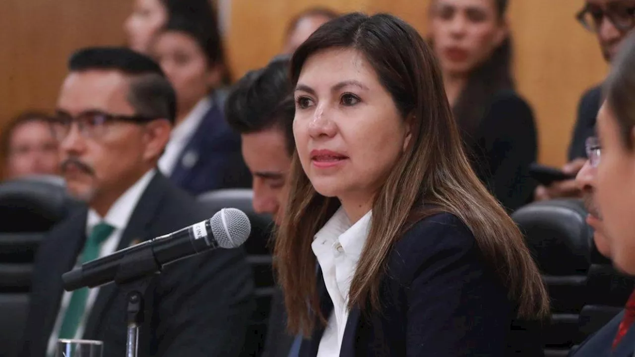 Mayoría parlamentaria “intenta socavar autonomía del Poder Judicial”: Jufed