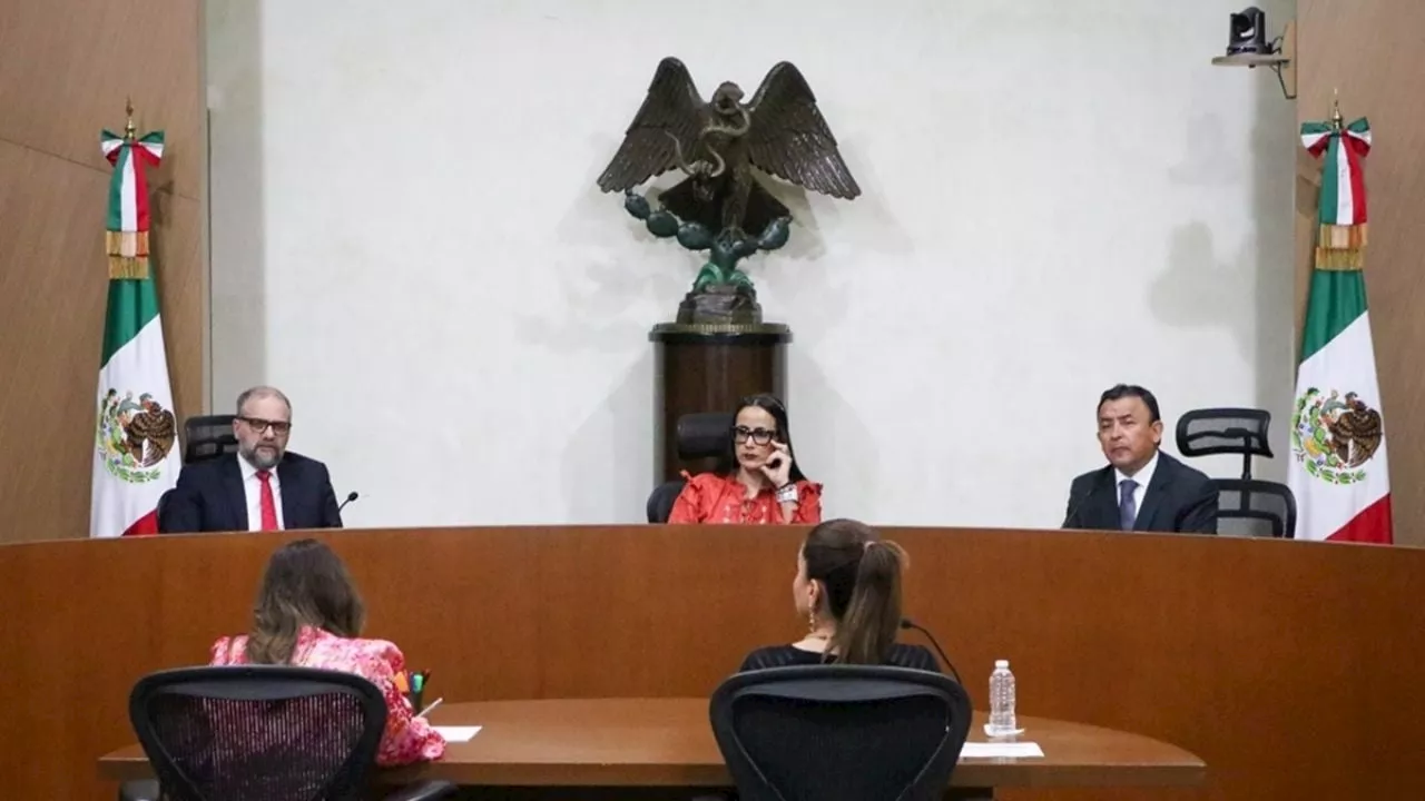 Domingazo: TEPJF valida 9 &quot;pluris&quot; para Morena en Congreso de CDMX