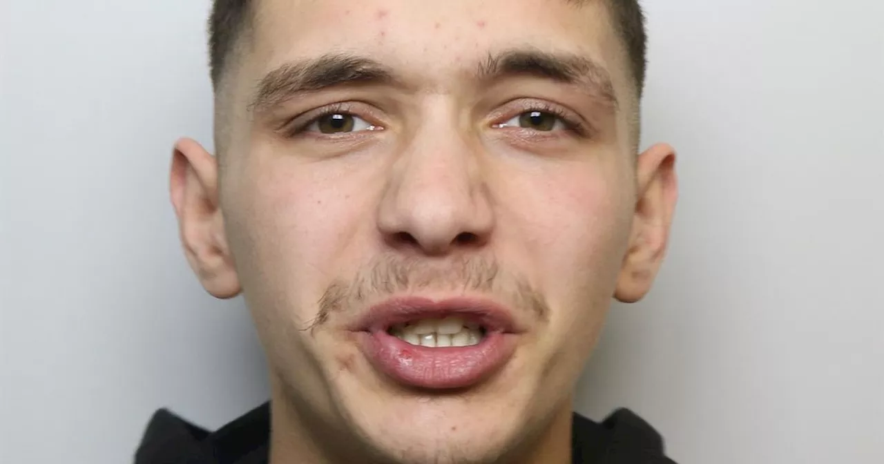 Yorkshire teenage tearaways spending life in jail before they're 20