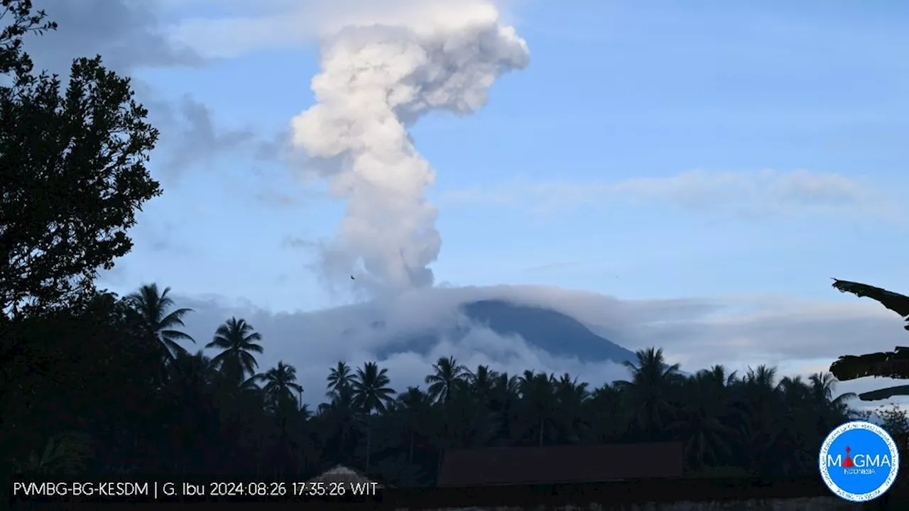 Gunung Ibu Erupsi Lagi, Semburkan Abu Vulkanik 2.000 Meter ke Arah Barat