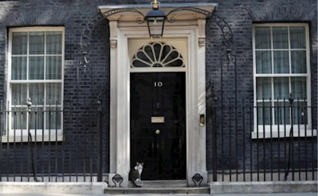 Downing Street prepares for when Larry the Cat runs out of nine lives: operation ‘Larry Bridges’ drafted, ready for inevitable