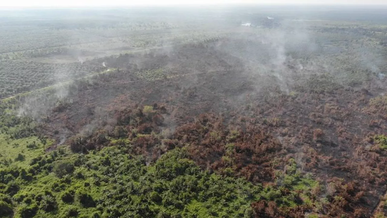 Bangka Selatan Dikepung Titik Panas yang Diduga Karhutla