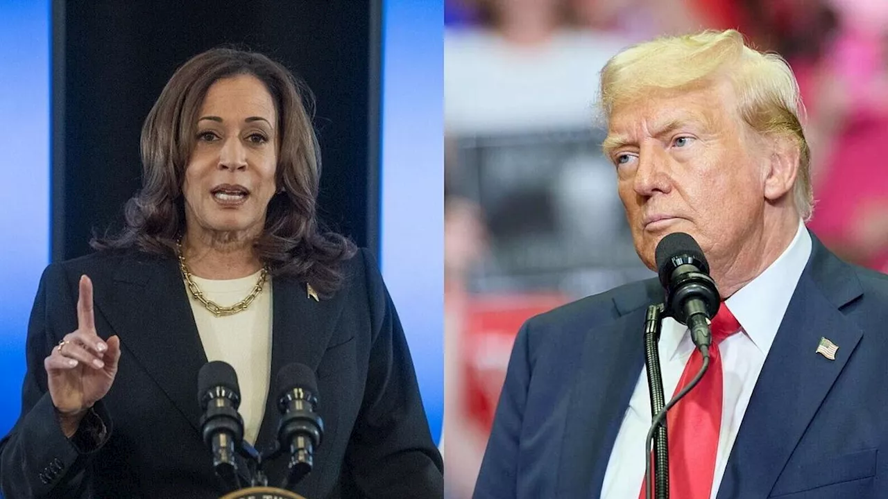 Usa 2024, è scontro tra Trump e Harris sul dibattito in tv