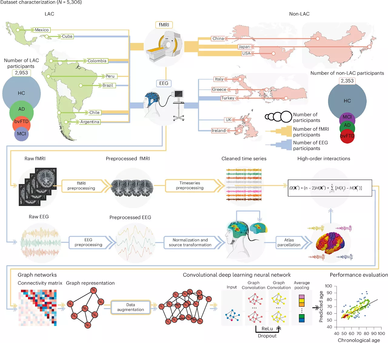 Research reveals environmental and disease factors can speed up the brain's biological age