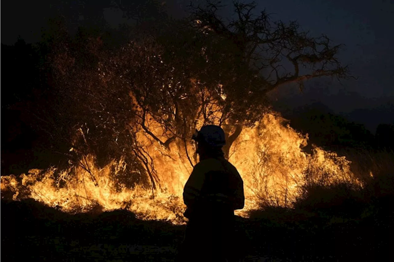 Brazil waging ‘war’ on wildfires in crowded Sao Paulo