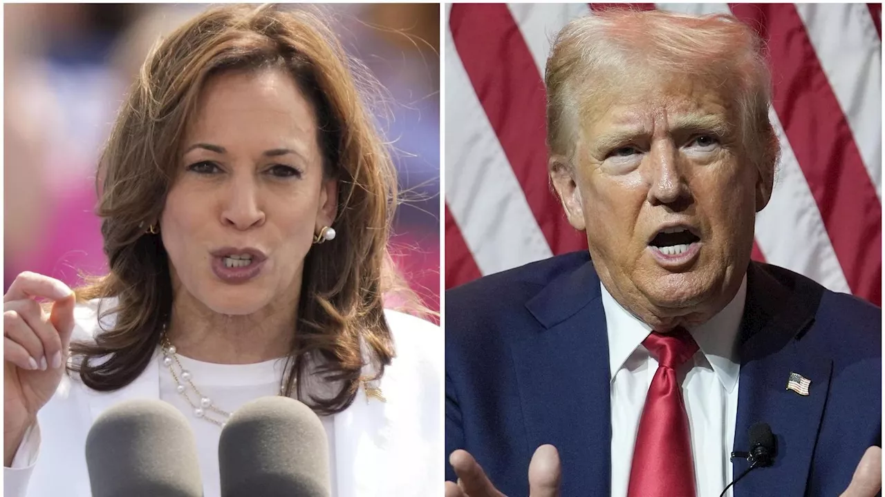 Welche Promis unterstützen Kamala Harris, welche sind für Trump?