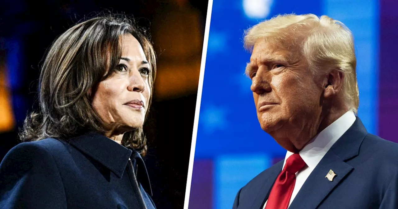 Trump howls as Harris, Dems turn him into the 2024 incumbent