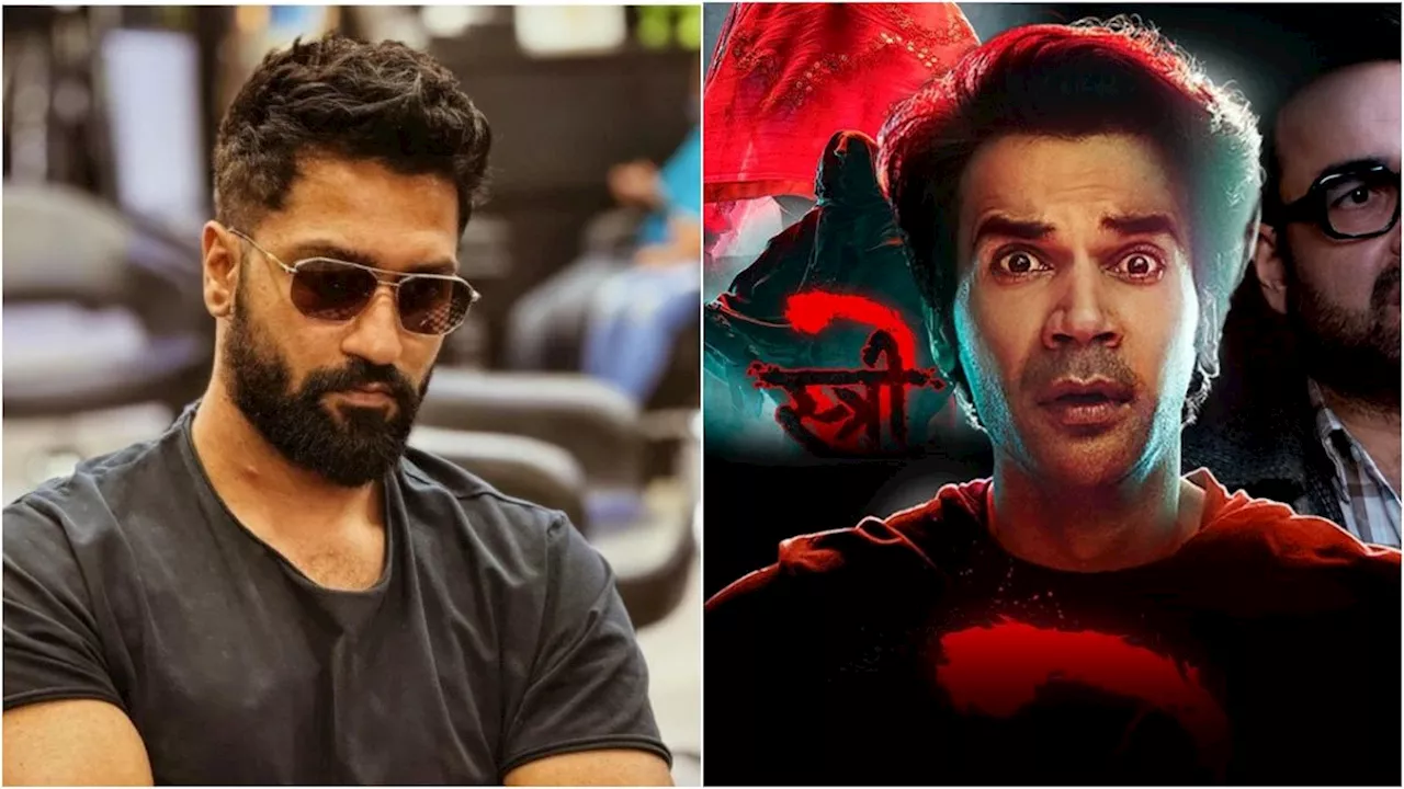 Vicky Kaushal Rejected Stree: विक्की कौशल ने 2018 में ठुकरा दी थी स्त्री...करोड़ों में कमाई देख हो रहा पछतावा