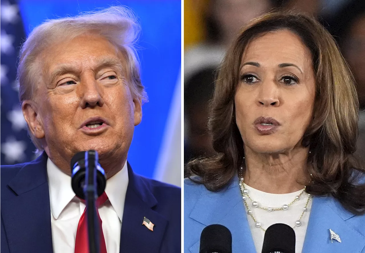 Pastor Predicts Kamala Harris Can 'Break the Back of the MAGA Movement'