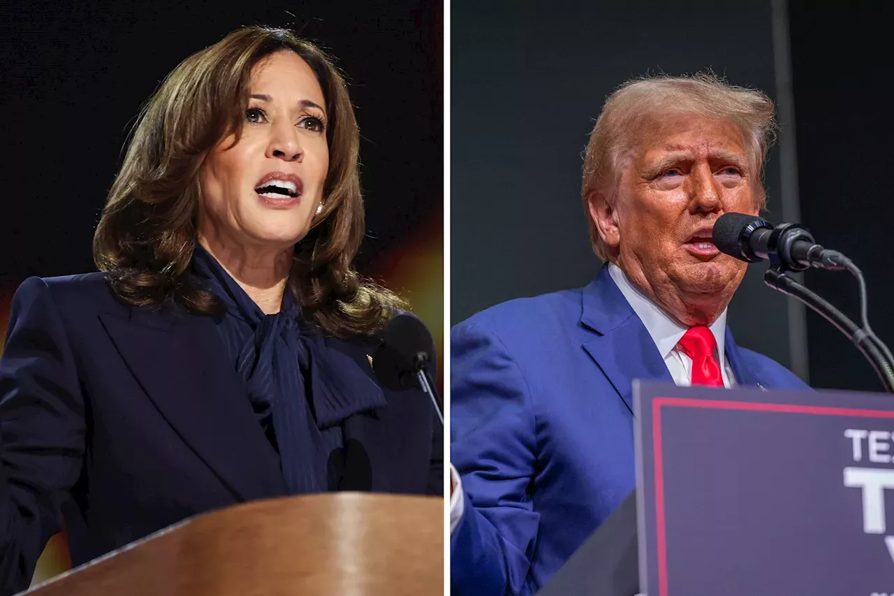 Trump Trails Kamala Harris in Swing State Poll by Conservative Group