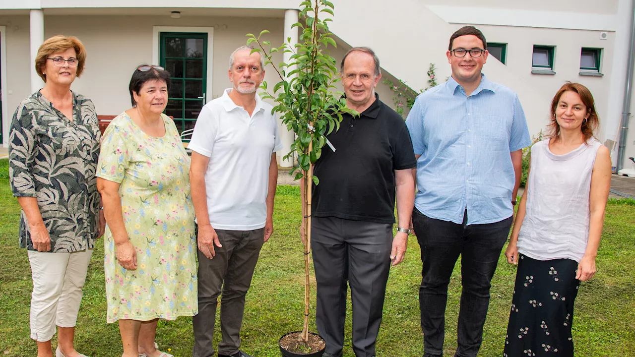 Fünf Pfarren werden zu einem Pfarrverband