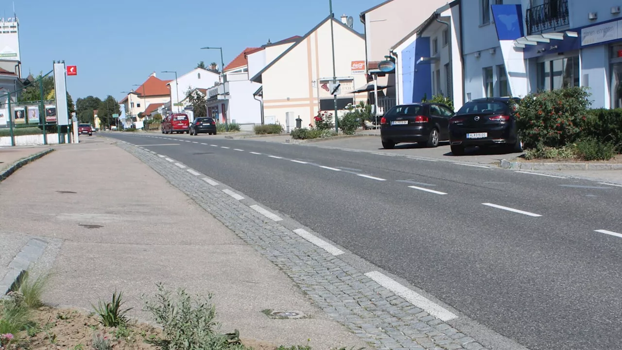 Schattenspender fehlen: Welche Bäume dürfen's für Ziersdorf sein?