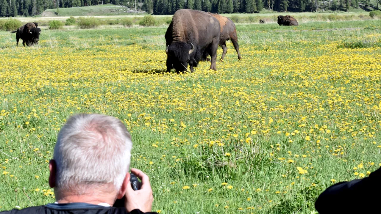 The U.S. national park system gets a $100 million grant, the largest in its history