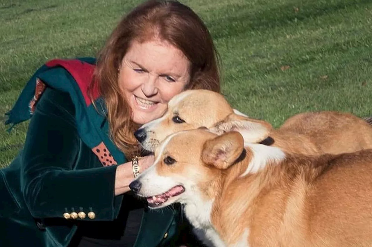 Sarah Ferguson Shares How Queen Elizabeth's Corgis Will Be Celebrated on International Dog Day