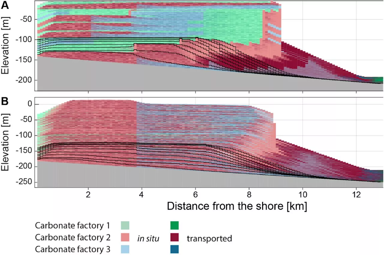 Darwin's fear was unjustified: Study suggests fossil record gaps not a major issue