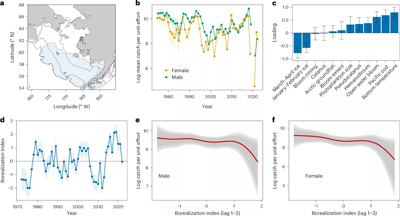 New study shows Alaskan snow crab population collapse in Bering Sea due to climate change