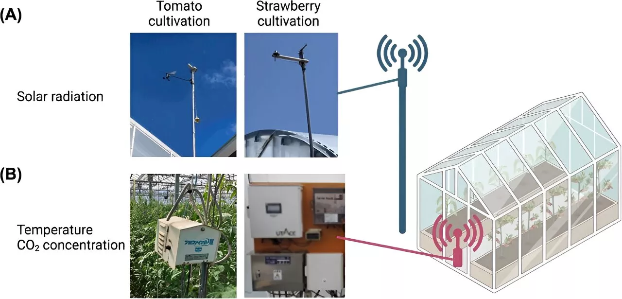 Unlocking crop yield potential: New modeling approach for sustainable agriculture