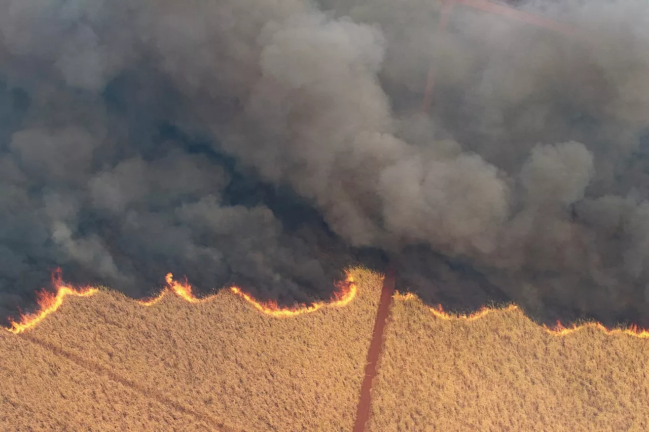 Incêndios no interior de SP deixam três mortos, 800 desabrigados e 48 cidades em alerta