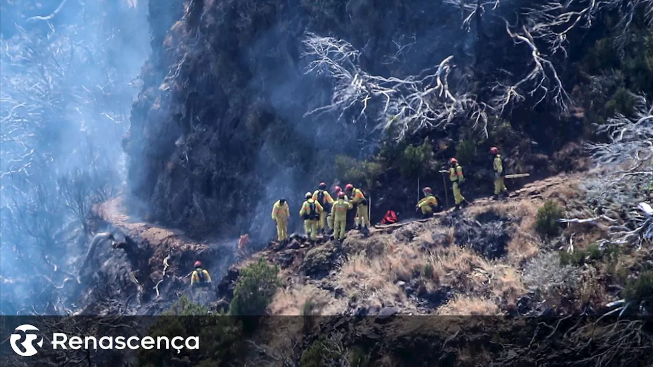 Incêndio na Madeira 'completamente dominado', segundo proteção civil regional